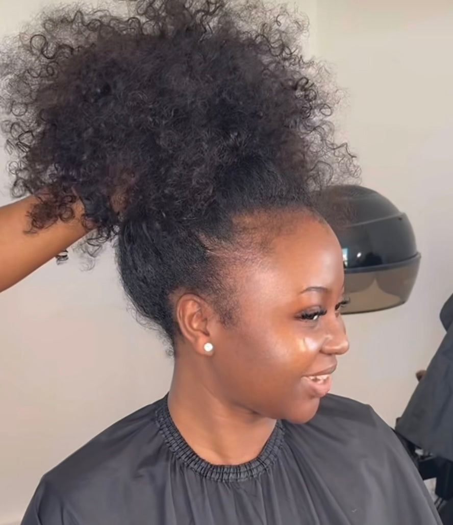 Burmese curly